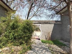 -大港湿地公园