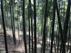 -径山寺