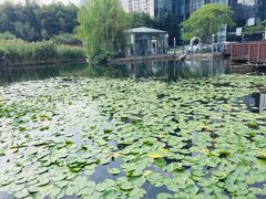 -苏州河梦清园环保主题公园