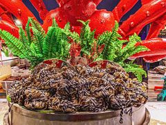 -五月罗马海鲜自助餐厅(陆家嘴店)