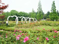 -昆山城市生态森林公园