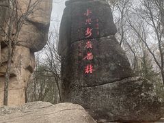 -汤旺河林海奇石景区