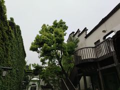 -昭明书院