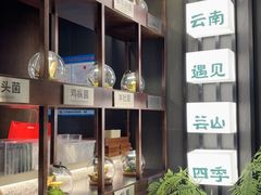 -芸山季·云南野生菌火锅(人民广场来福士店)