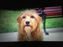 -万象影城(深圳布吉万象汇IMAX店)