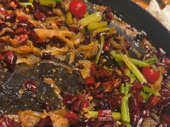 -老板恋上鱼(环山路店)