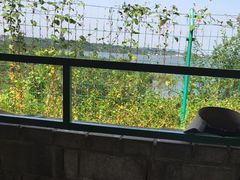 -小赖鱼馆