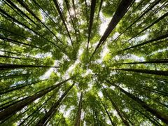 -山王坪喀斯特国家生态公园