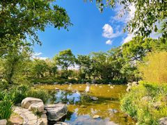 -崇圣寺三塔文化旅游区