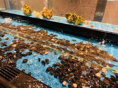 -Mr·Fish鱼鲜生海鲜放题(银泰in99店)
