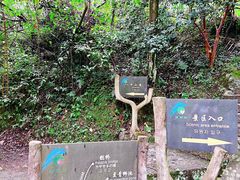 -黄山翡翠谷景区