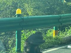 -合肥野生动物园