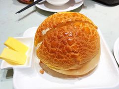 -南枝记