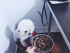 -王红军龙虾(盐仓桥店)