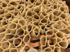 -官厅老勾渔馆(温泉店)