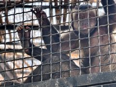 -鄂尔多斯野生动物园