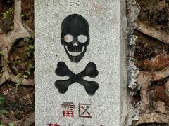 -东兴口岸-中越友谊大桥