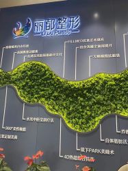 -丽都整形美容医院·全国连锁旗舰店