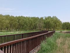 -怀来官厅水库