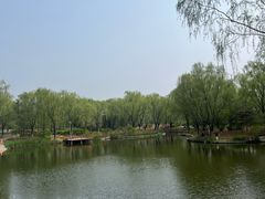 -燕郊植物园