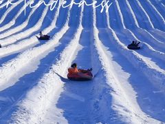 -绿野森林乐园冰雪季