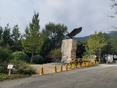 -北京鹫峰国家森林公园