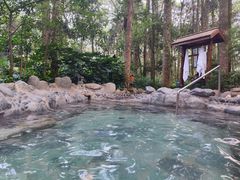 -金方森林温泉