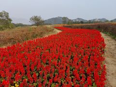 -西海岸生态观光园