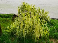 -三江森林温泉度假区