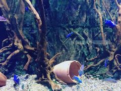 -华夏文旅海洋公园