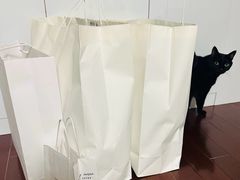 -比斯特上海购物村精品奥特莱斯