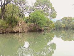 -西溪国家湿地公园