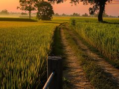 -盘龙城国家考古遗址公园