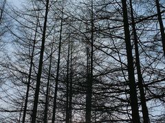 -沣峪口