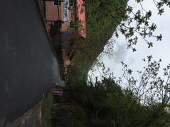 iphone_upload_pic-陕西省红河谷森林公园