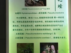 -上海昆虫博物馆