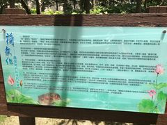 -陈家山荷花公园