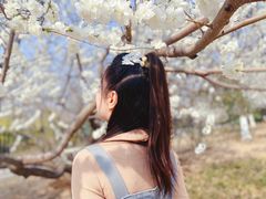 -永定河休闲森林公园