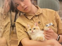 -袖虎·猫馆(体育西路店)