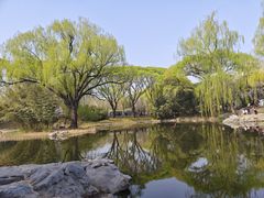 -紫竹院公园-东门停车场