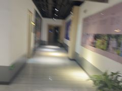 -汇乐游泳馆(莲花南路店)