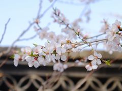 -三里河公园