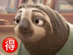 -杭州浪浪浪水公园