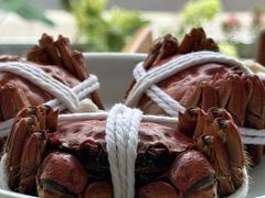 -品鲜村农家菜·阳澄湖大闸蟹(总店)