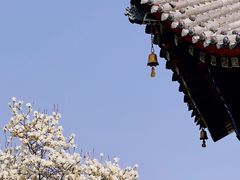 -西安市广仁寺