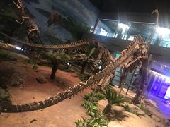 -自贡恐龙博物馆