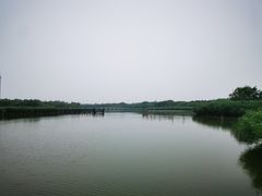 -西青郊野公园