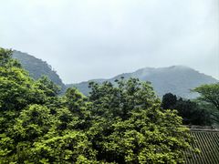 -鼎湖山风景区