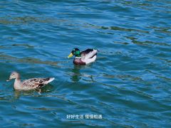 -颐和园