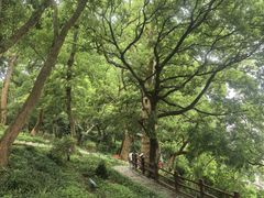 -外蒲山